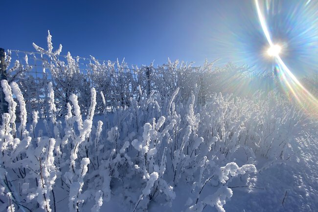 Calgary snow