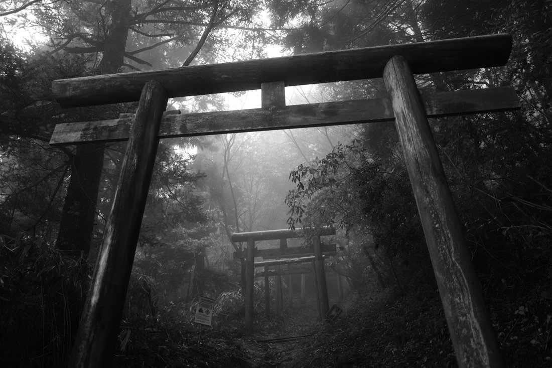 Torii at Mount Kōya